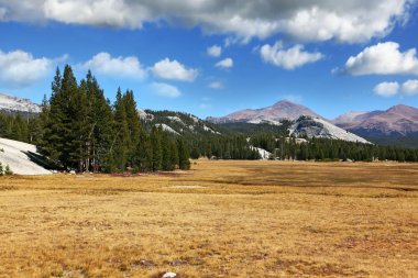 yosemite - kürk-ağaçlar ve dağlar bir parçası