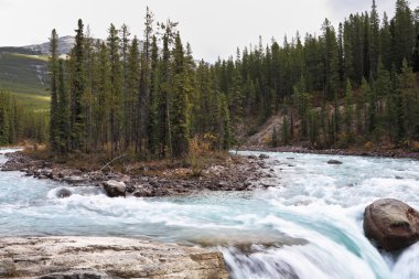 küçük adacık nehir Banff Falls