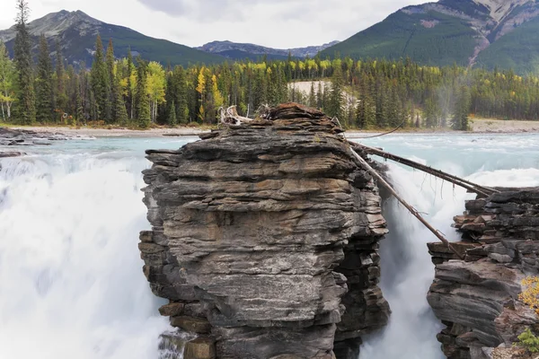 Wycie athabasca falls — Zdjęcie stockowe