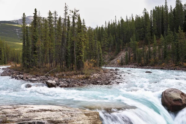Le petit îlot dans les chutes de la rivière Banff — Photo