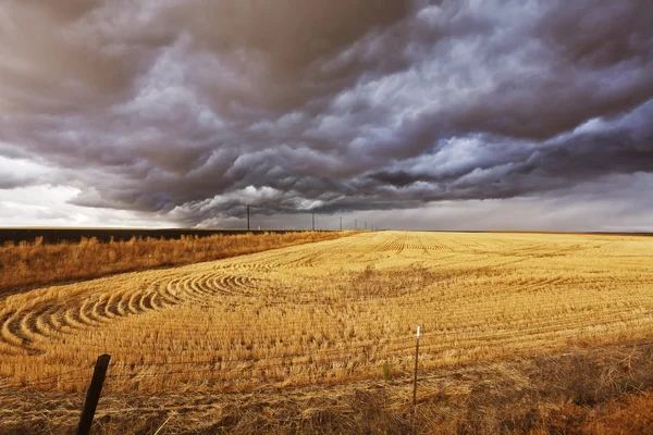 Nepravděpodobné bouřkový mrak — Stock fotografie