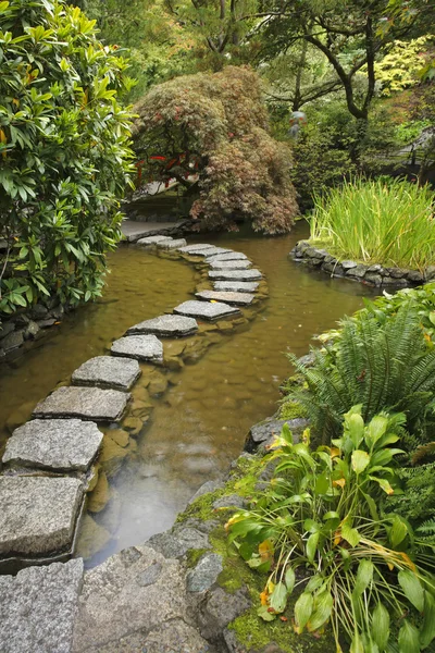 Ogród japoński. strumień i ścieżki z kamienia — Zdjęcie stockowe