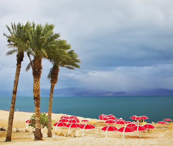 Las marquesinas de playa en una playa del Mar Muerto en una tormenta —  Fotos de Stock