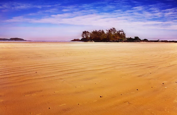 Ogromny piaszczystej plaży w lagunie oceanu — Zdjęcie stockowe