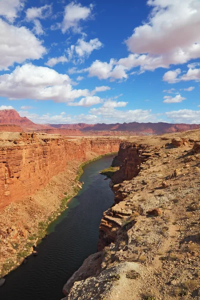 Magnifico fiume Colorado — Foto Stock