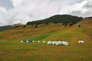 haystacks büyüleyici dağ çayır üzerinde