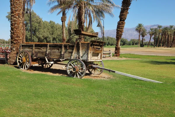 Ancient vehicle in an oasis — Stock Photo, Image