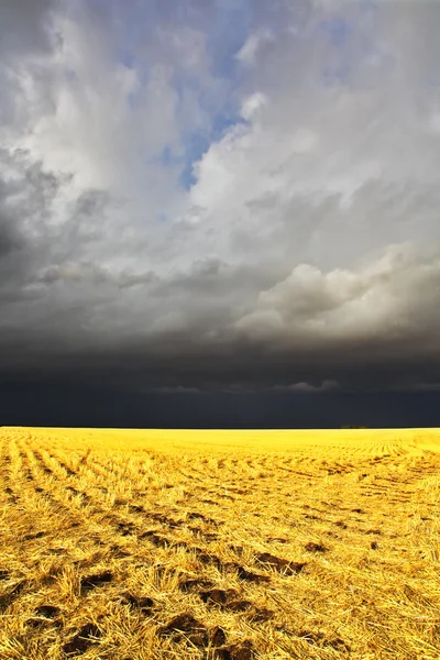 Comienza la tormenta en el campo — Foto de Stock