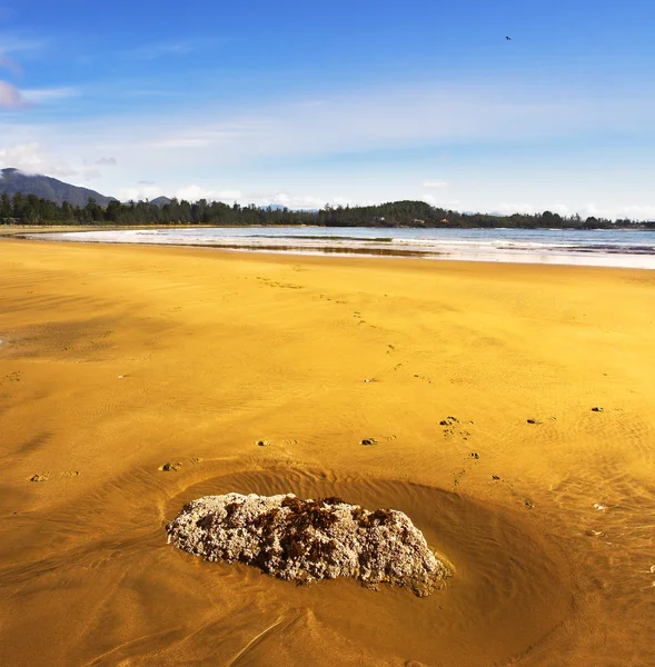 Enorme zandstrand eiland vancouver in canada — Stockfoto
