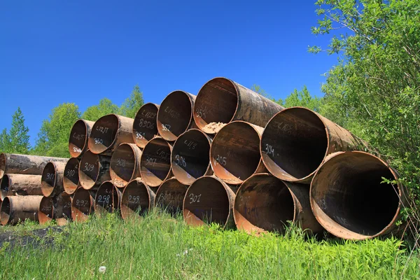 yeşil bitki arasında eski Gaz boruları