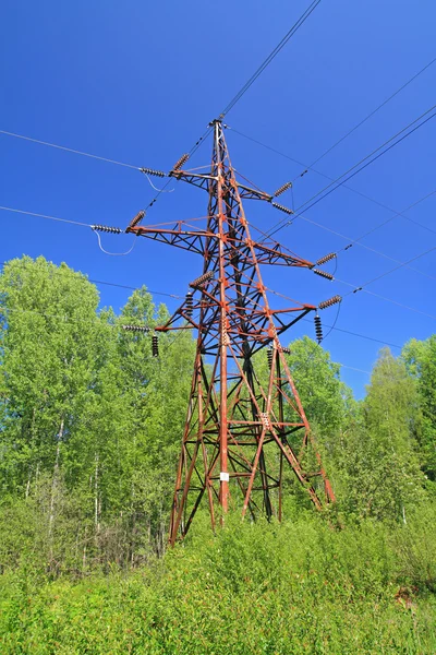 Poste eléctrico entre madera verde — Foto de Stock