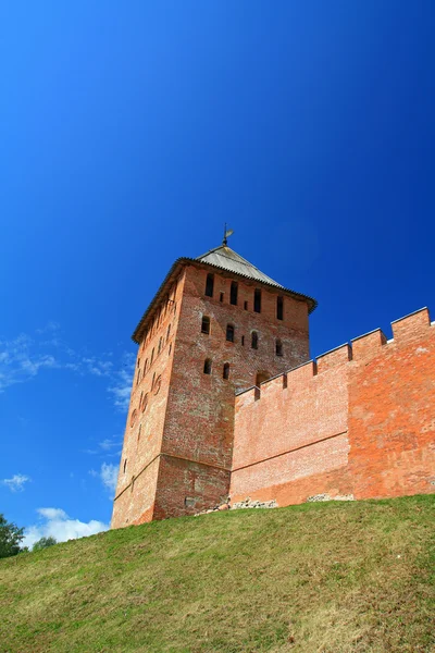 Alte Festung inmitten von grünem Kraut — Stockfoto