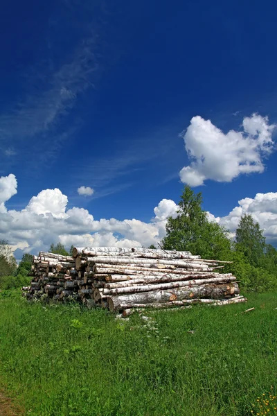 Fa, fűrészelt — Stock Fotó