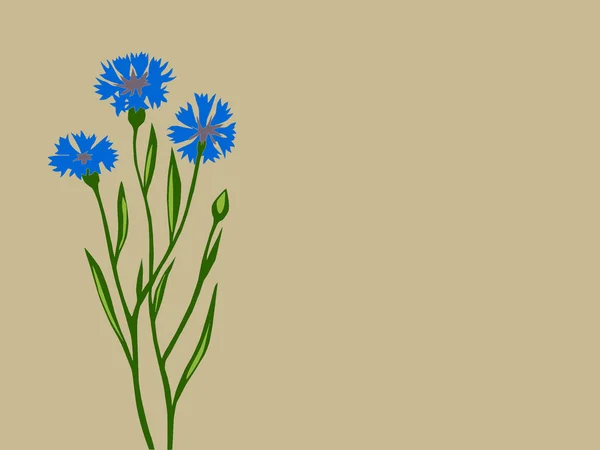 Cornflower silhouette on brown background, vector illustration — Stock Vector
