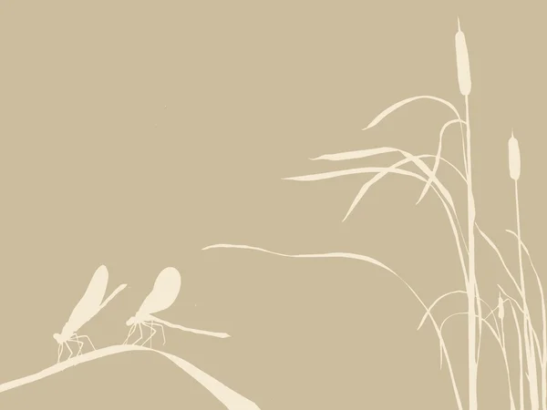 Due libellule su sfondo marrone, illustrazione vettoriale — Vettoriale Stock