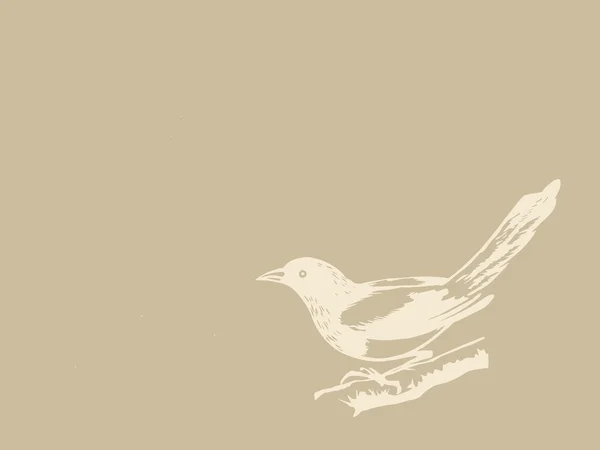 Vogel auf braunem Hintergrund, Vektorillustration — Stockvektor