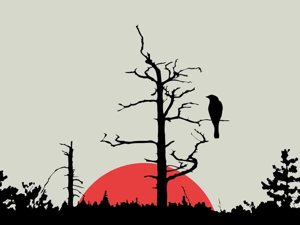 Pájaro en rama entre madera, ilustración vectorial — Vector de stock