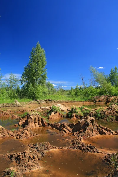 Oude zandstrand steengroeve in groen hout — Stockfoto