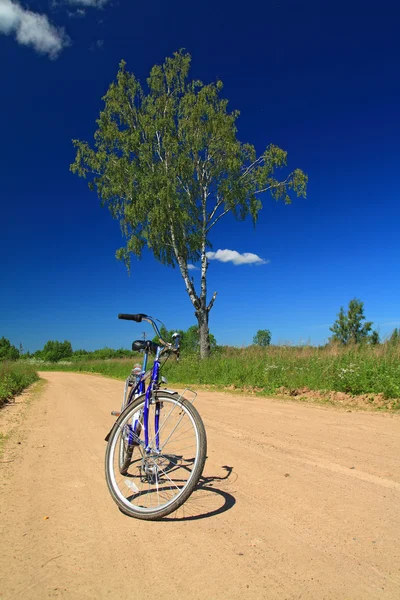 Bicycle on rural sandy road — Stock Photo, Image
