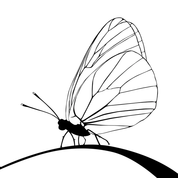 Silueta de mariposa sobre fondo blanco, ilustración vectorial — Archivo Imágenes Vectoriales