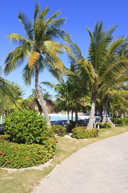 hotel sol cayo largo alanı.