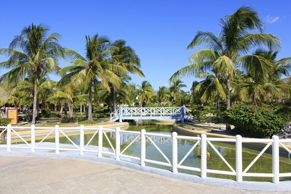 Gebied van hotel sol cayo largo. — Stockfoto