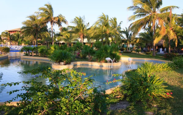 Area of hotel Sol Cayo Largo. — Stock Photo, Image