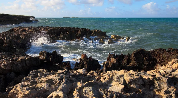 Costa atlântica . — Fotografia de Stock