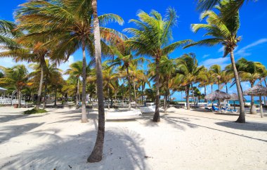 Otel Melia Cayo Guillermo Bölgesi.