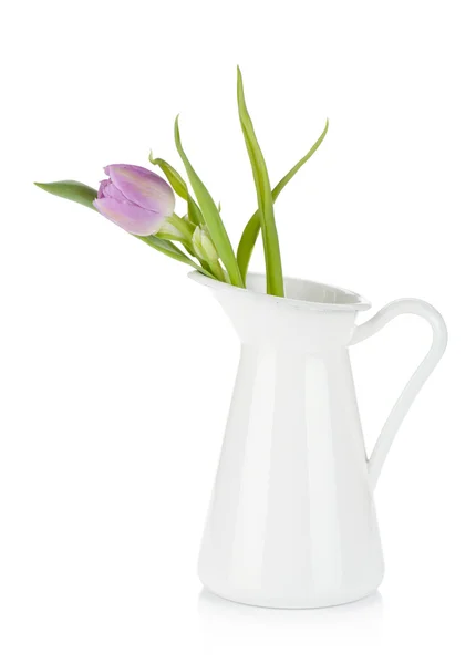 Pink tulip in metal pitcher — Stock Photo, Image
