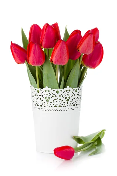 Красные тюльпаны в цветочном горшке — стоковое фото