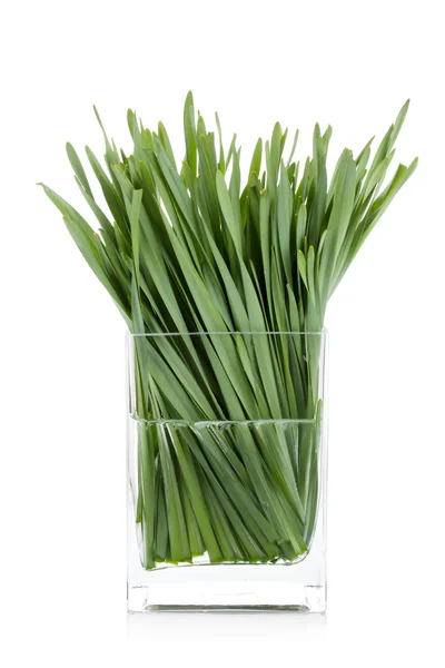 Groen gras in glazen vaas — Stockfoto