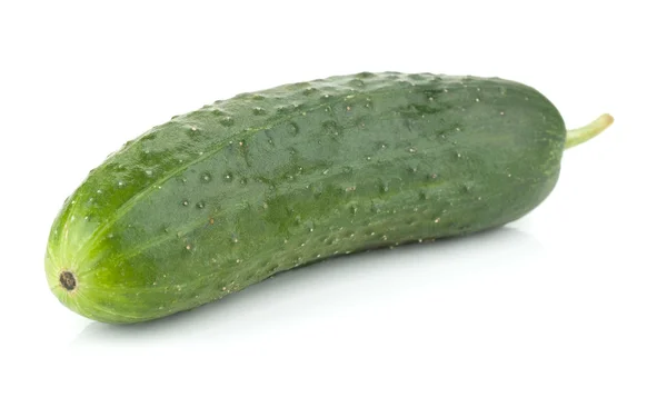 Fresh cucumber vegetable — Stock Photo, Image