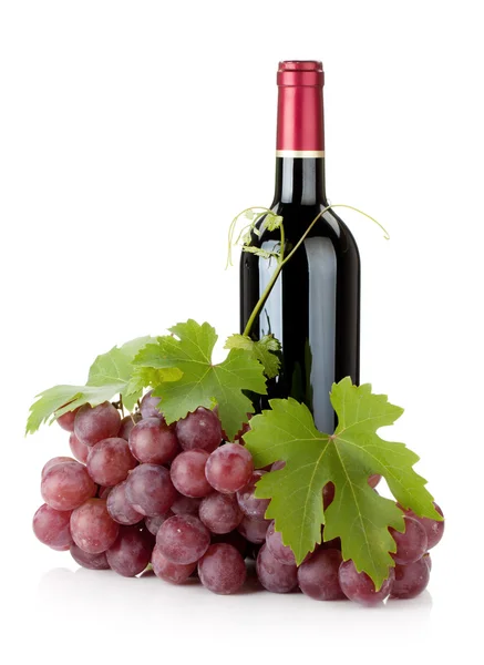 Rotweinflasche und Trauben — Stockfoto
