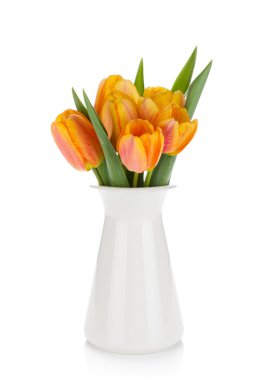 Orange tulips bouquet in flowerpot clipart