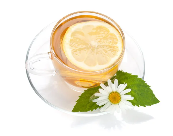 Tasse Tee mit Zitronenscheibe, Minzblättern und Kamillenblüte — Stockfoto
