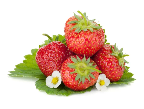 Four strawberry fruits with green leaves and flowers — Stock Photo, Image