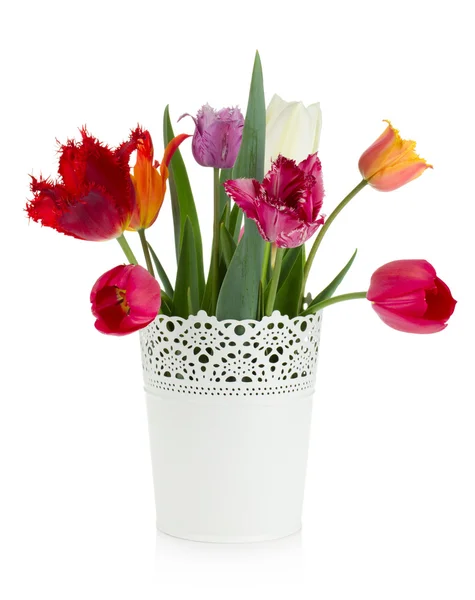 Multicolored tulips in flowerpot — Stock Photo, Image