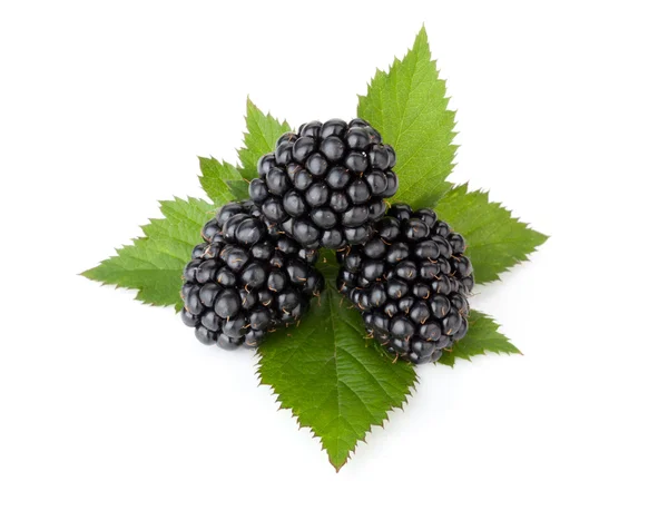 Three ripe blackberry with leaves — Stock Photo, Image