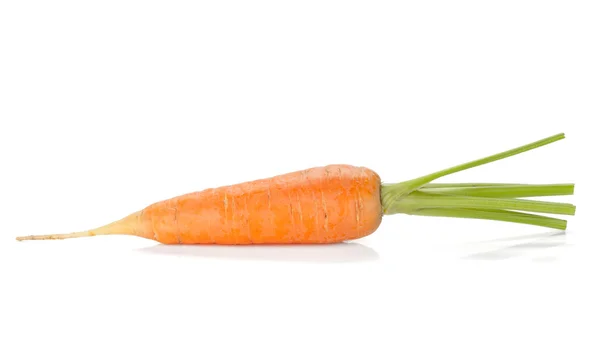 ताजा परिपक्व गाजर — स्टॉक फ़ोटो, इमेज