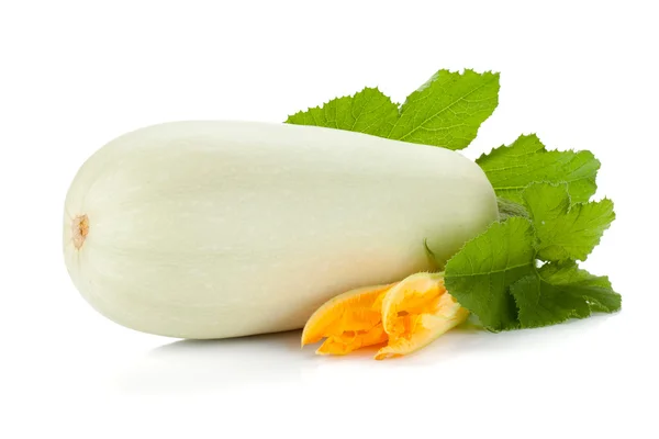 Färsk zucchini frukt med gröna blad och blomma — Stockfoto
