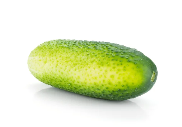 Fruta de pepino madura — Fotografia de Stock