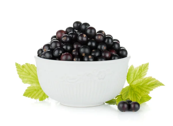 Black currant bowl — Stock Photo, Image