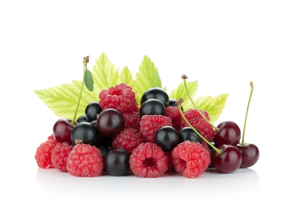 Black currant, raspberry and cherry — Stock Photo, Image