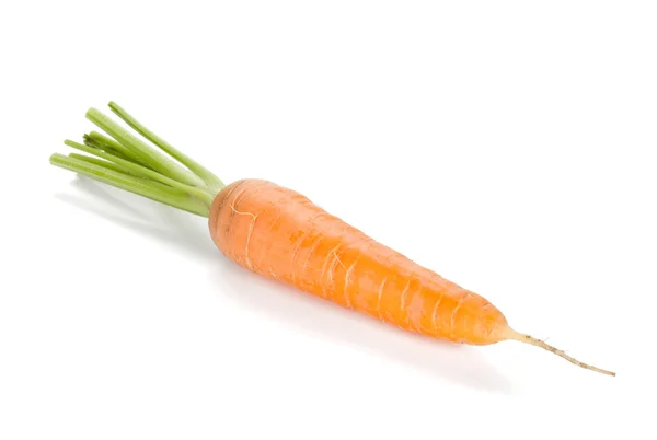 Fresh ripe carrot — Stock Photo, Image