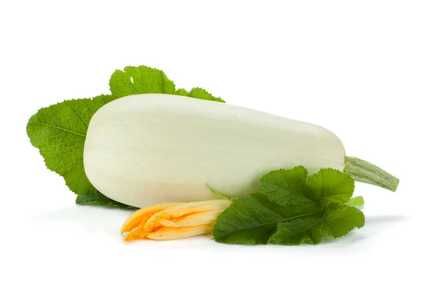Färsk zucchini frukt med gröna blad och blomma — Stockfoto