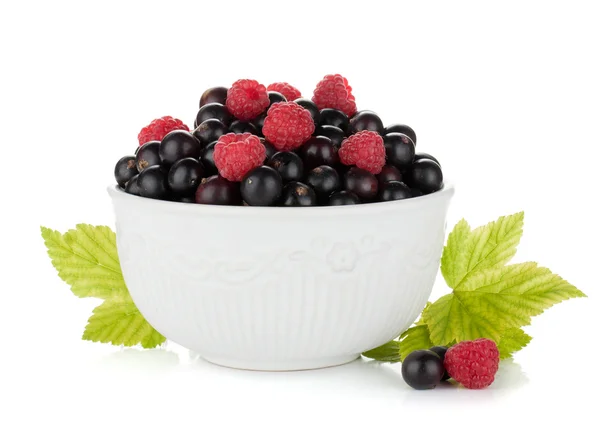 stock image Black currant and raspberry