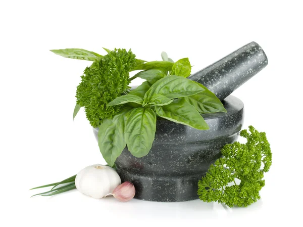 Fresh flavoring herbs and spices in mortar — Stock Photo, Image