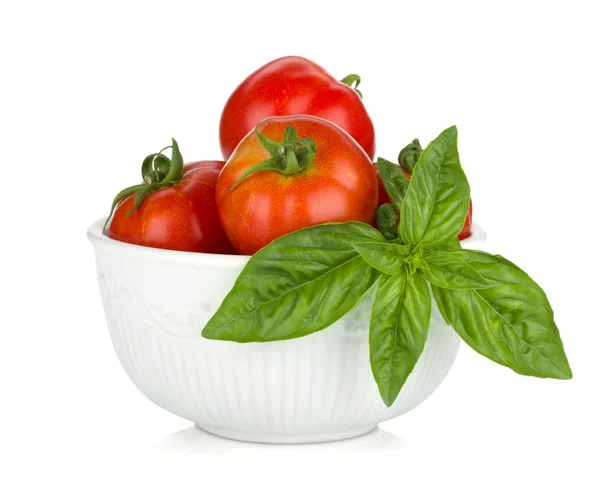 Dojrzałych pomidorów i bazylii — Zdjęcie stockowe