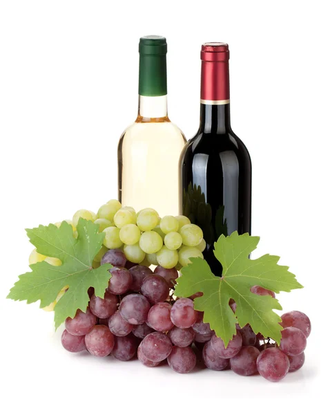 Dos botellas de vino y uva — Stockfoto